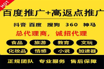 SEM广告投放中的数据监控与调整策略——以某品牌营销案例为例